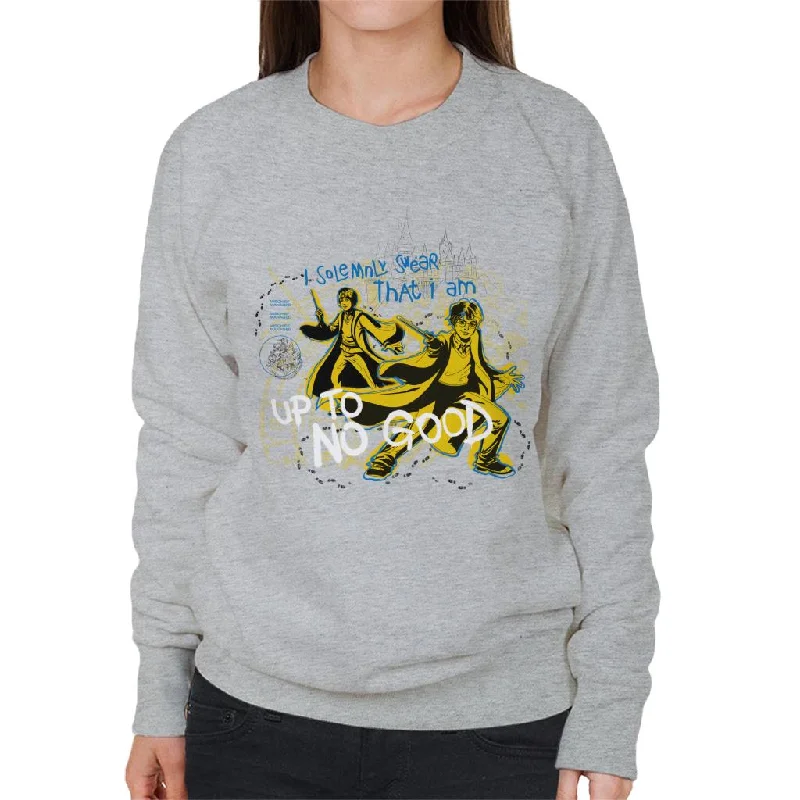 Harry Potter And Ron I Solemnly Swear I Am Up To No Good Women's Sweatshirt Hoodie with Illustration Artistic Creative